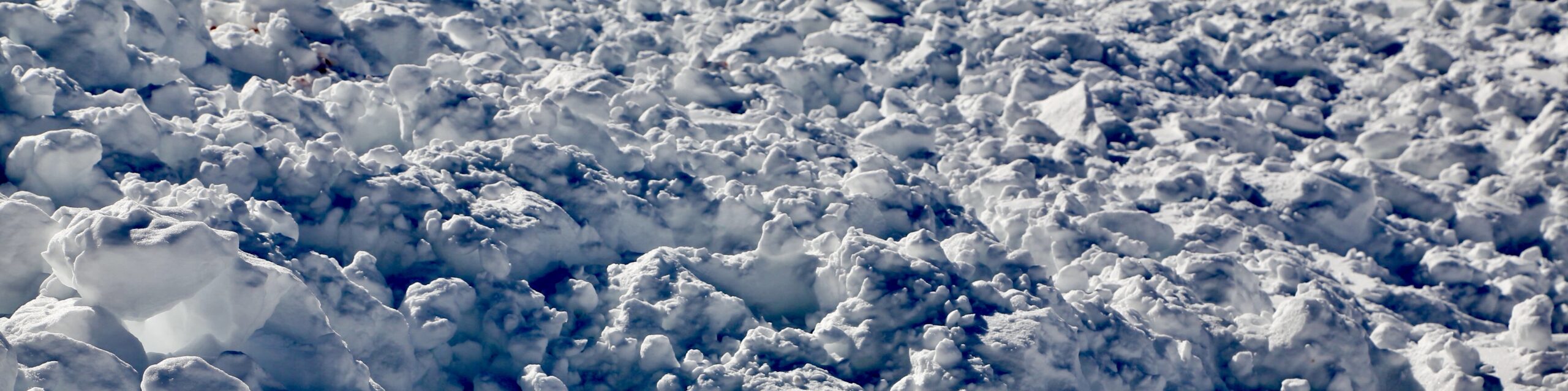 Lawinenkurse Alpine Safety Academy Nico Metz